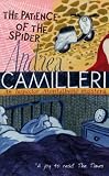 The Patience of the Spider