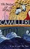 The patience of the spider