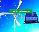 GOWE Max power 500w 12v /24vwind power /small windmill/wind turbine/magnet wind kits +wind controller