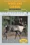 The Woodland Caribou: A MyReportLinks.com Book (Endangered and Threatened Animals)