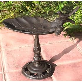 Acorn Leaf Birdbath Bird Bath-feeder Cast Iron Rust from Birdbaths