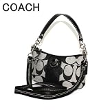Coach Signature Stripe Demi Pouch Crossbody Bag Handbag 17439 Black White