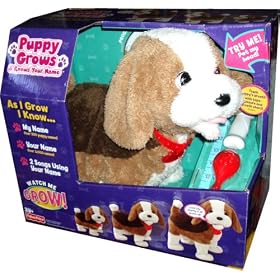 Fisher Price Puppy Grows and Know Your Name Playset - Brown St. Bernard Puppy Dog with Birth Certificate, Brush, Bone, Tape Measure, and Growth Chart to Track Puppy's Growth