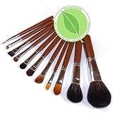 IQ Natural, 11pc Eco-Smart Technology Professional Mineral Makeup Brush Set Under $30 Save Now!