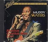 Muddy Waters: Hoochie Coochie Man Live!