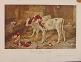 BRITISH ART DOG IN THE MANGER WALTER HUNT ANTIQUE PRINT