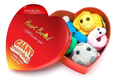 Giantmicrobes Heart Burned Gift Box