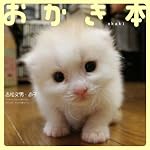 おかき本