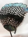 NEW Lady Amhurst and Guinea Feather Headband, Limited.