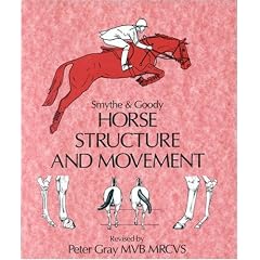 Horse Structure and Movement