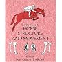 Horse Structure and Movement