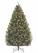 7' Pre-Lit Long Needle Syndey Pine Artificial Christmas Tree - Multi Lights