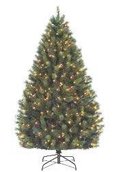 7' Pre-Lit Long Needle Syndey Pine Artificial Christmas Tree - Multi Lights