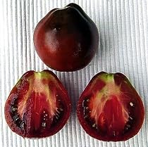 Japanese Black Trifele (Russian Truffel) Tomato Plant