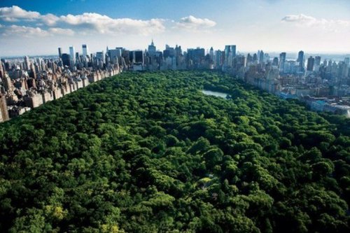 1art1 56665 New York - Central Park und Skyline Poster, 91 x 61 cm