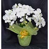 ���i�̏ڍ�