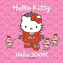Hello Kitty Hello 2009! Wall Calendar: (with stickers)