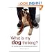 What Is My Dog Thinking?: The Essential Guide to Understanding Pet Behavior