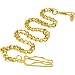 Pocket Watch Pull and Chain