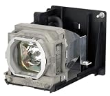 Lamp, Replacement: HC7000, HC6500