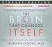 Books : Brain That Changes Itself, The: Stories of Personal Triumph from the Frontiers of Brain Science