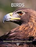 Cover of Birds by  1615354654