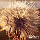 Allegro Classical Fall 2011 Sampler