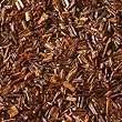rooibos tea