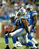 Ndamukong Suh Signed Autographed Detroit Lions 8x10 Photo