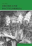 Produkt-Bild: F&uuml;ller, Horst, Bd.3 : Orchis und Dactylorhiza