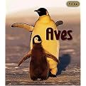 Aves/ Birds (Crias/ Animal Babies) (Revised) (Reinforced Hardcover)