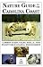 Nature Guide to the Carolina Coast: Common Birds, Crabs, Shells, Fish, and Other Enti...
