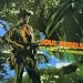 Soul Rebels by Bob Marley