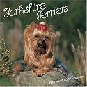 Yorkshire Terrier 2007 Wall Calendar
