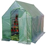 STC Garden Greenhouse - 6x10'