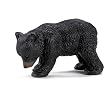 Black Bear Cub