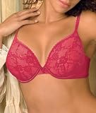 Lily of France Amazing Curves Lace Plunge Push-up Bra