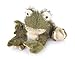 Webkinz Frog