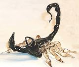 Scorpion detailed Zodiac Glass Figurine Small
