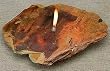 Fire Rock 1 - Single Wick