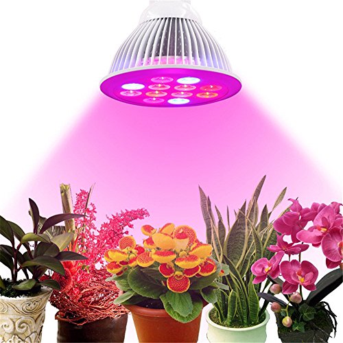 Superwinger 12W 24W 36W Led Grow Light Bulb,Professional Growing Lamps for Indoor Gardening & Hydroponics (36W)