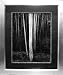 Aspens, Northern New Mexico by Ansel Adams 32-Inch-by-38-Inch Framed Print