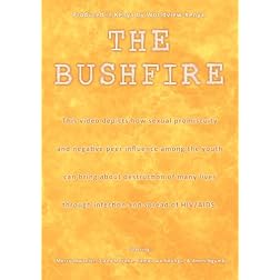 The Bushfire