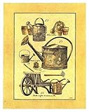 Arrosoirs et brouette Finest LAMINATED Print Laurence David 14x18