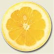 Lemon Scented Auto Coaster - Single Coaster for Your Car