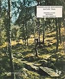 Craigellachie birchwood nature trail