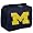 Michigan Wolverines