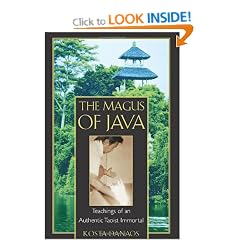 The Magus of Java: Teachings of an Authentic Taoist Immortal
