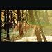 Childish Gambino - "The Last"