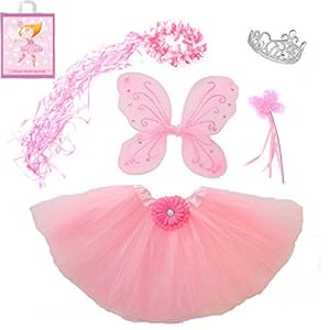 5 Piece Sparkle Fairy Princess Costume Set PLUS GIFT BAG (Pink)